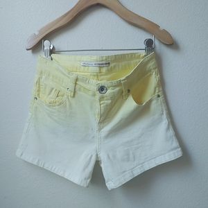 Slim Fit Shorts
